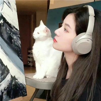 青衿志