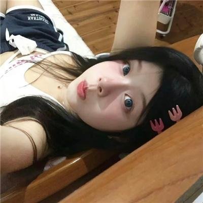 黄猫